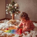 c9e635feab22c2c5c9b6069f35c44147